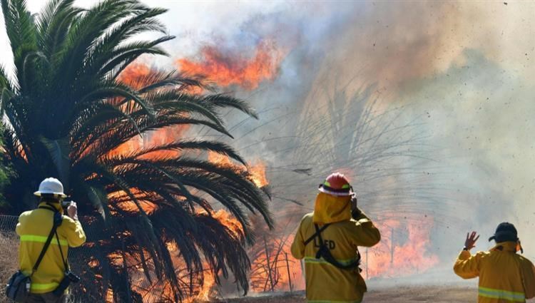 رجال الإطفاء يكافحون حريقاً بالقرب من مزارع في كاليفورنيا،حيث صدرت تحذيرات 'حمراء' نادرة بالعلم الأحمر في معظم أنحاء لوس أنجلوس