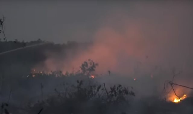 حرائق إندونيسيا